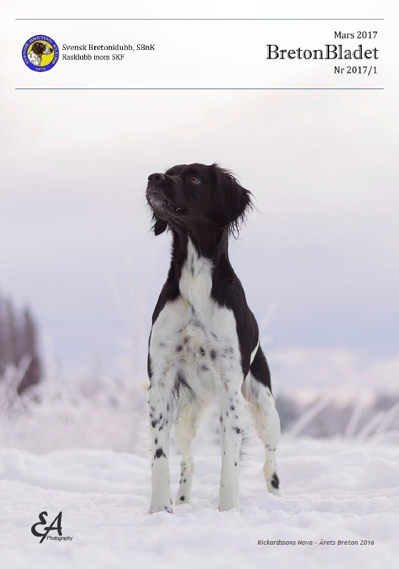 2017 1 Framsida