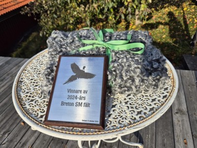 SM Priser Fårskinn Gotland-24