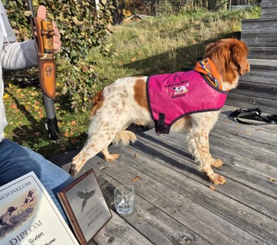 Nemo SM Vinnarvast 2 768X680