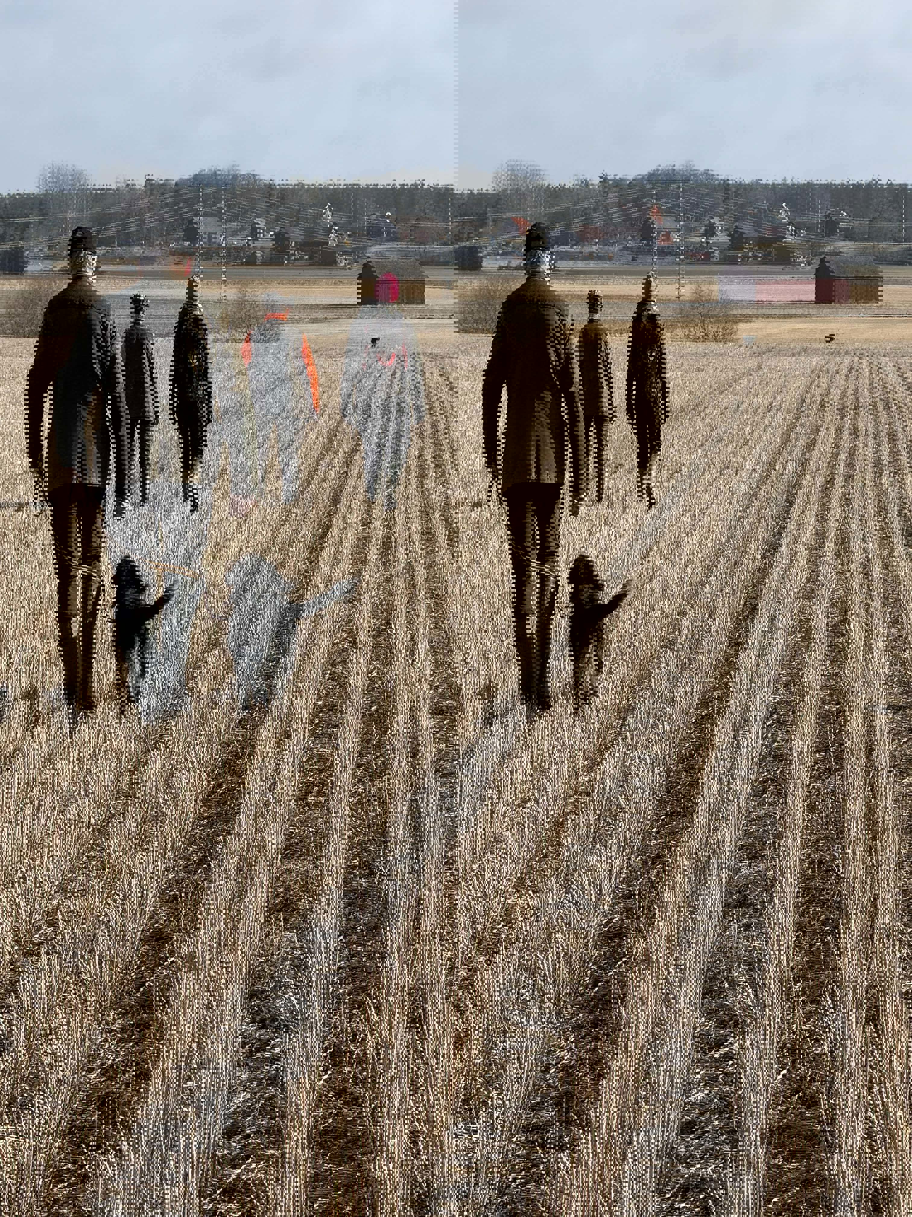 43Df61e3 Cd46 4F79 8238 D7151844fc1a