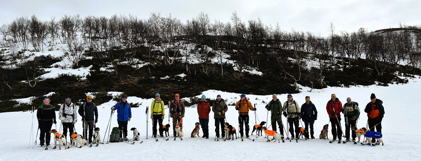 Segrarklasspartit Klimpfjäll 25
