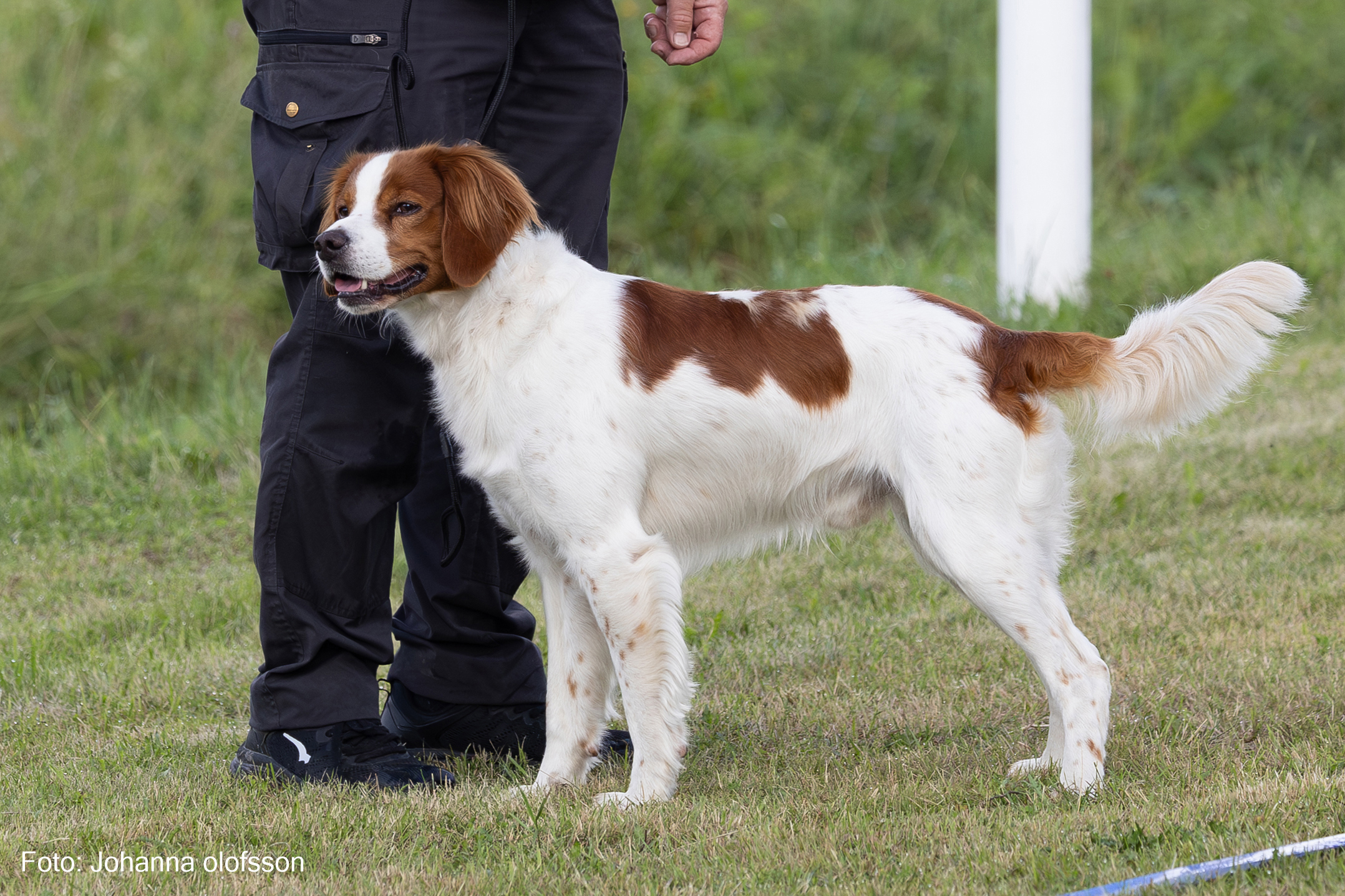 Lapinlunas Bozzo Äg Rickard Hūbinette2025