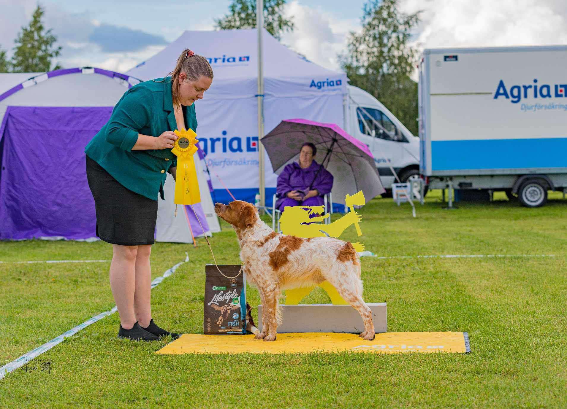 Point North Arne Erfarne