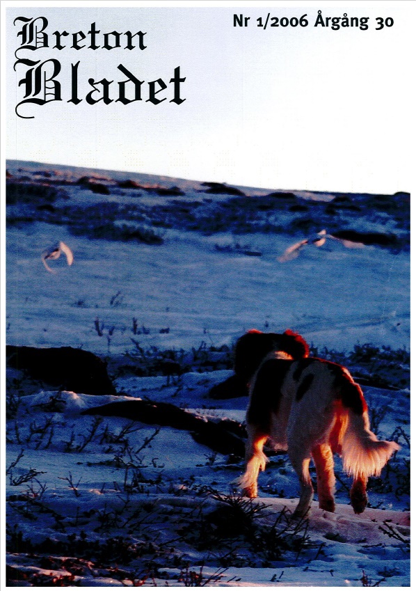2006 1 Framsida
