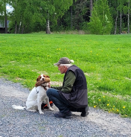 Apportträning I Dalarna