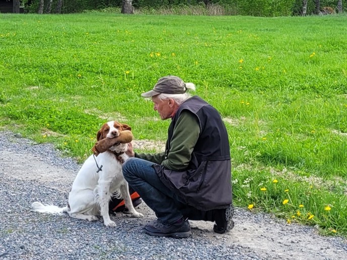 Apportträning I Dalarna