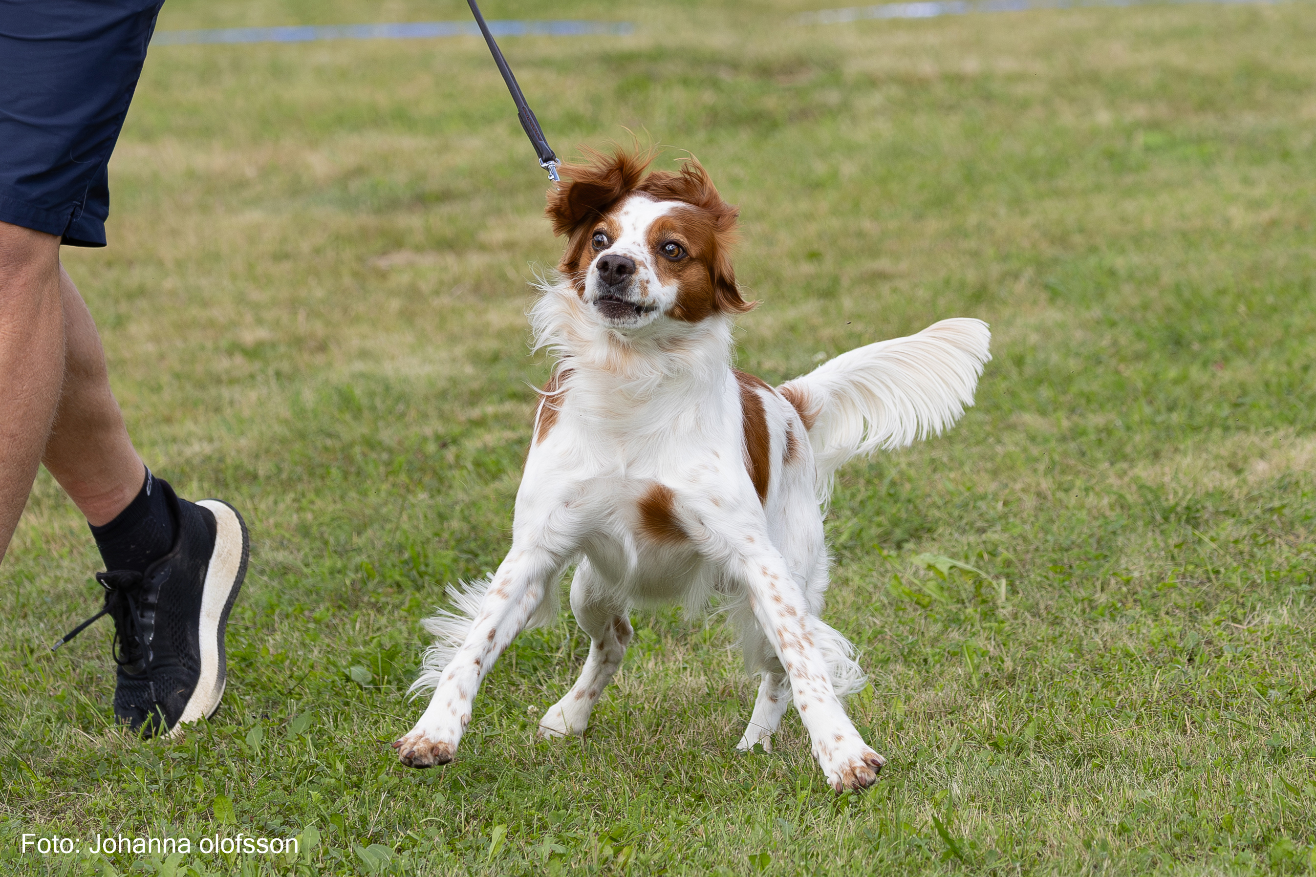 Isaks Nelson Äg Mattias Berglund2025