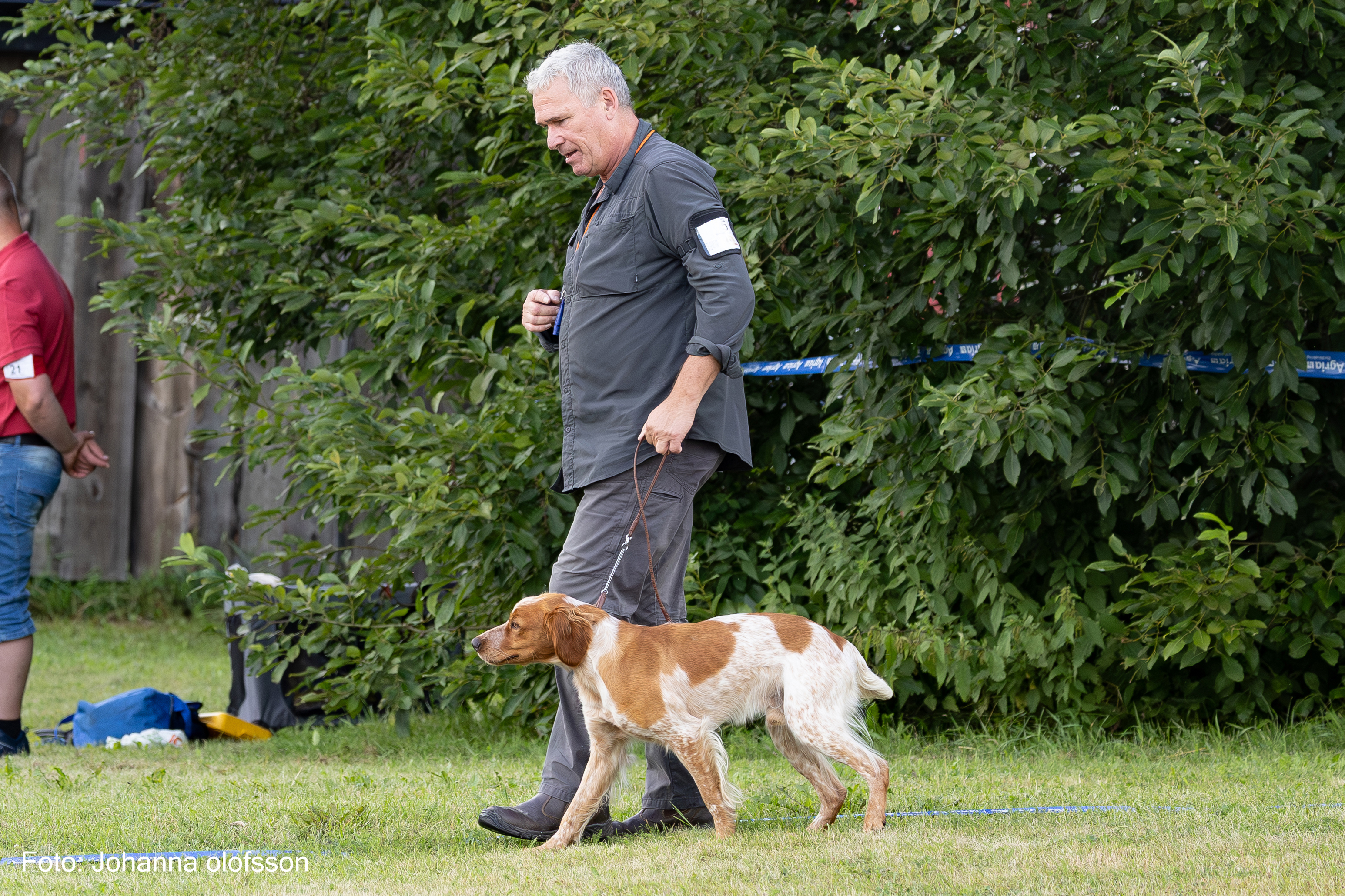 Graipesvares A Ziggy Äg Allan Hansen2025