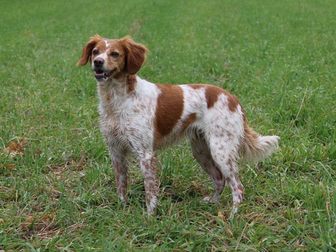 Trollkjerkas Miss Aisha