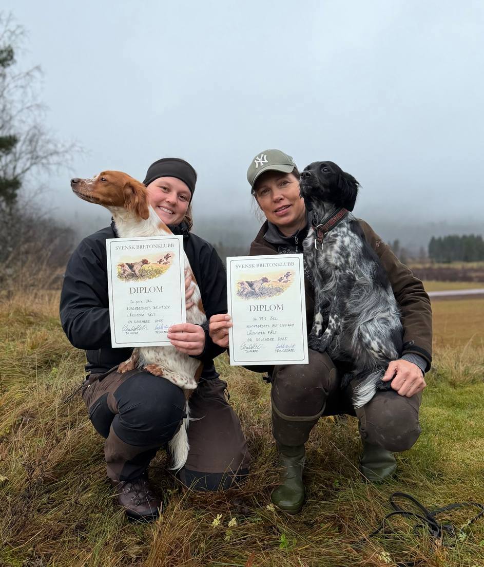 Anna O Daisy Och Bea O Riska