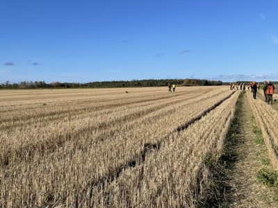 Breton-SM Gotland-24_5