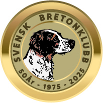 Jubileumsloga utan banner