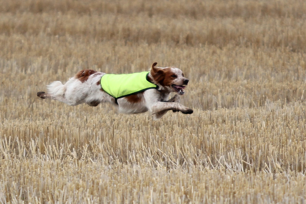 Lill Gemons Mc Nevis