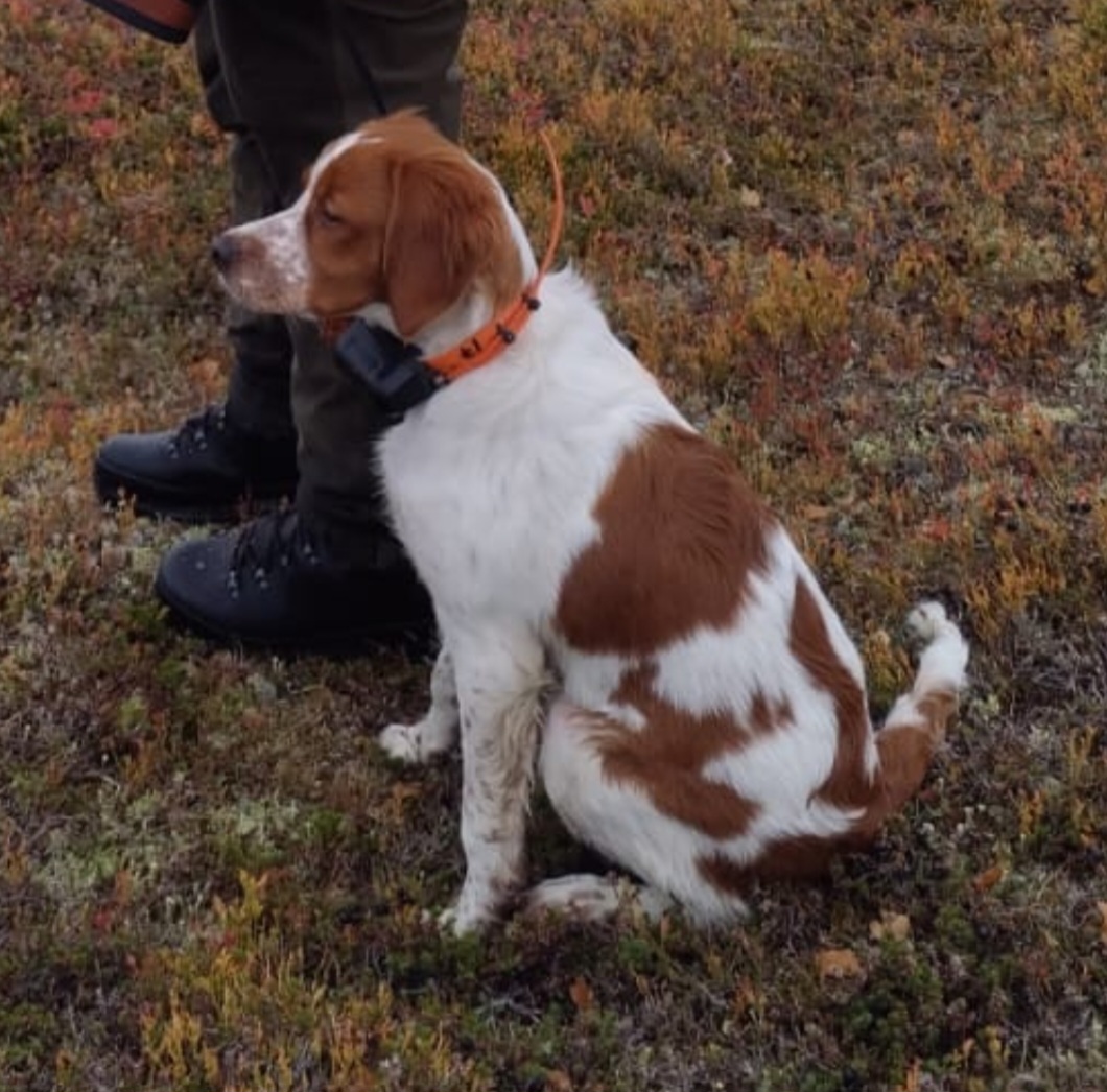 Screenshot 20250329 164724 Whatsapp