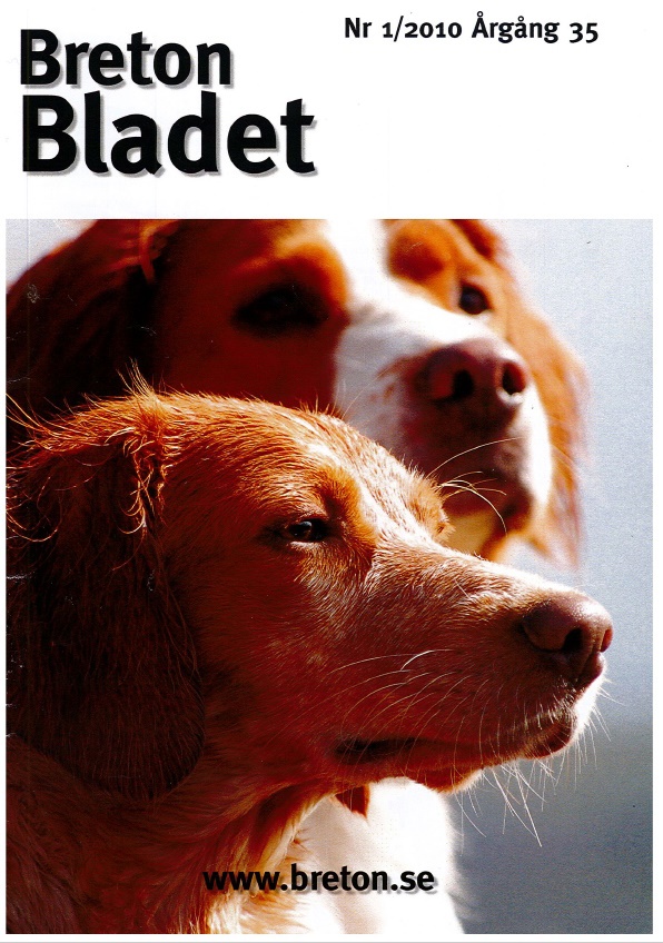 2010 1 Framsida
