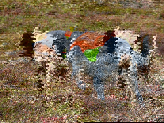 2024 10 07 17.06.26