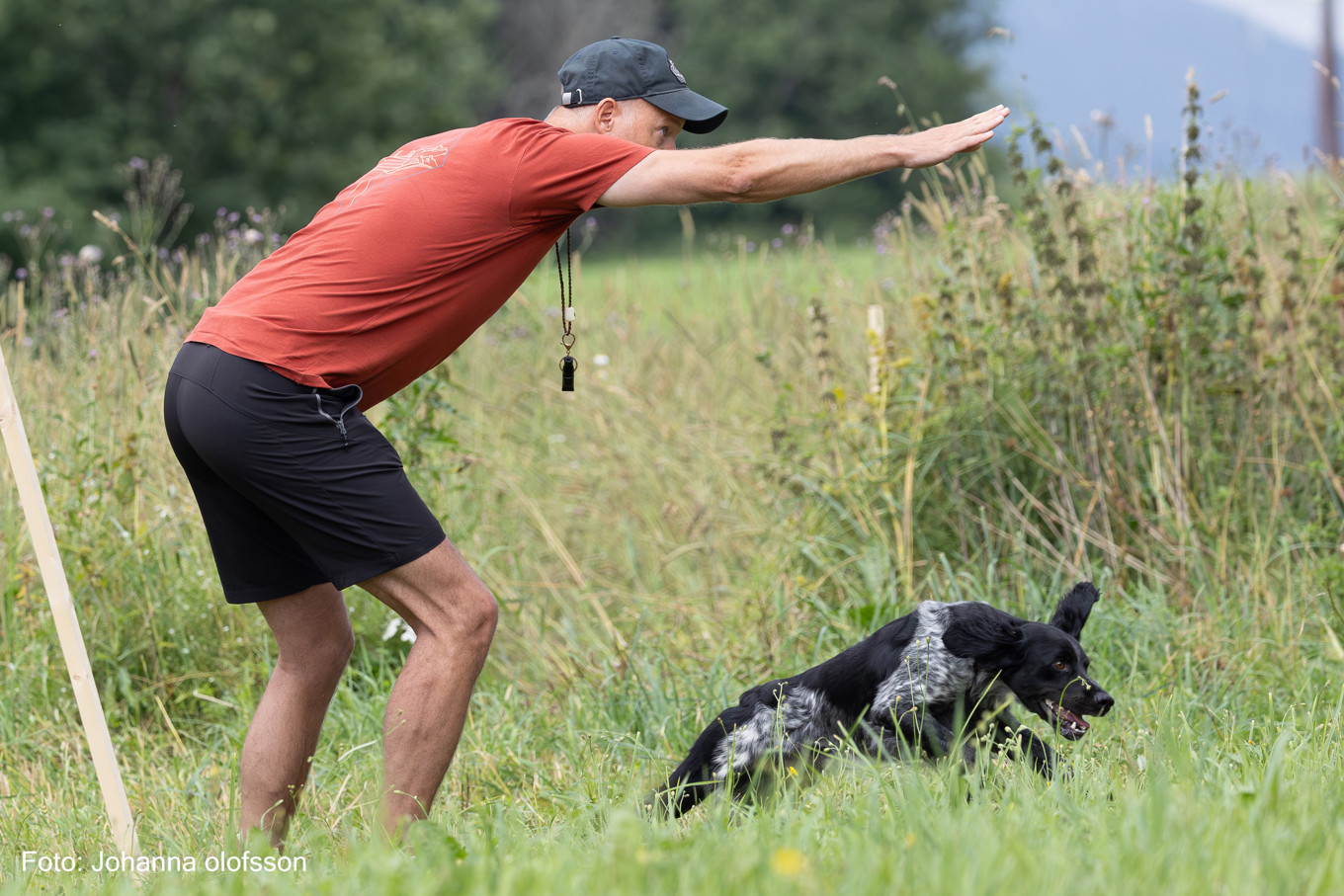 Mattias Eising, Graipesvares Fido
