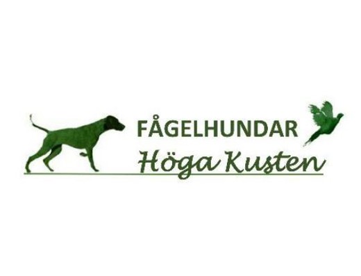 Fågelhundar Höga Kusten