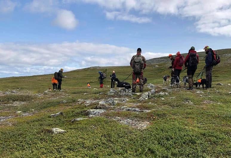 Gräftåvalle