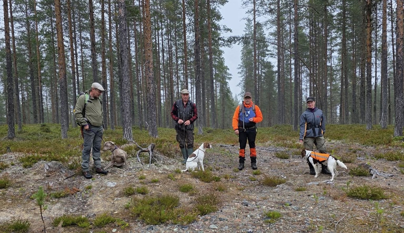 Björkliden 25