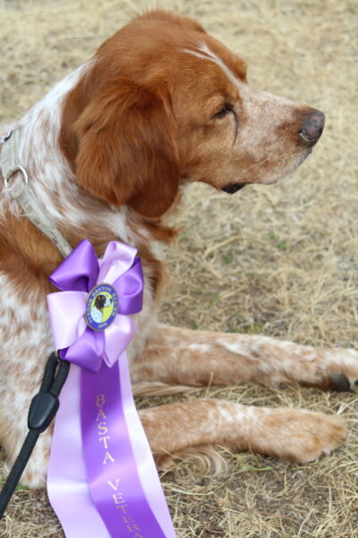 Red Garlic's X Jameson (2)