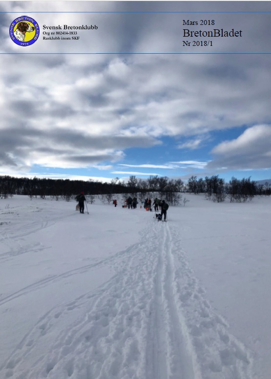 2018 1 Framsida