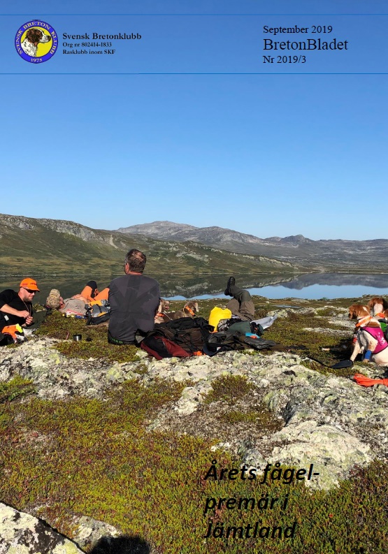 2019 3 Framsida
