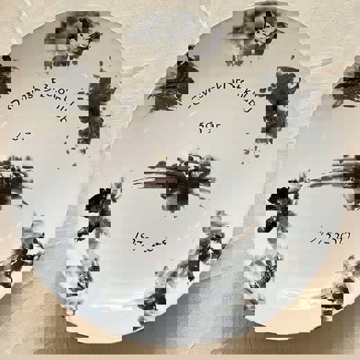 526703423 726760820196972 2404267822039541510 N