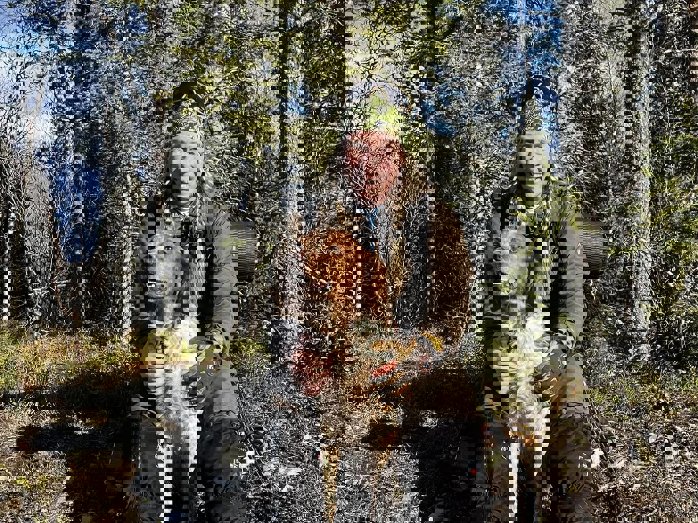 Graipesvares Frost O Pernilla