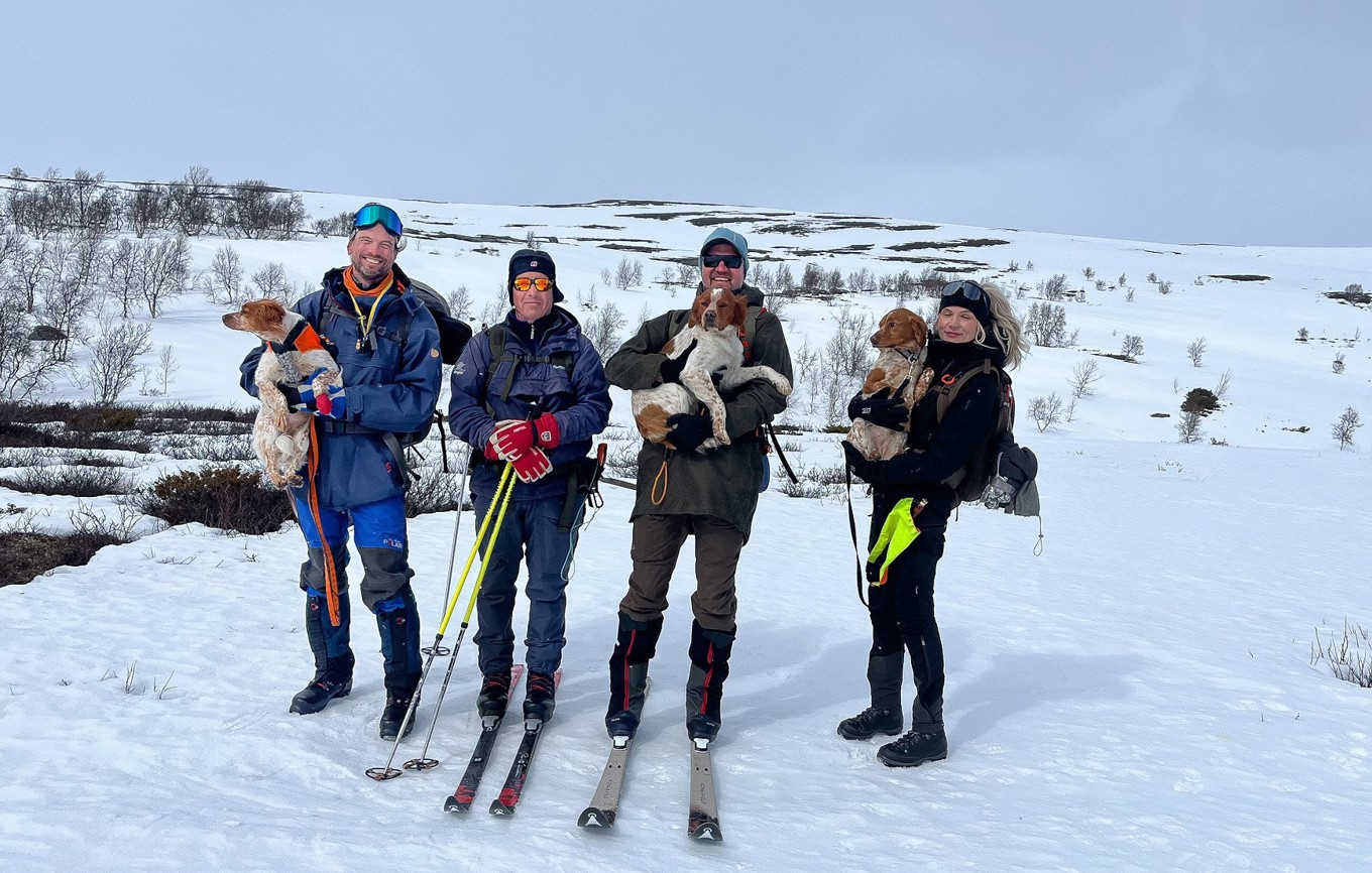 Klimpfjäll April 25 4