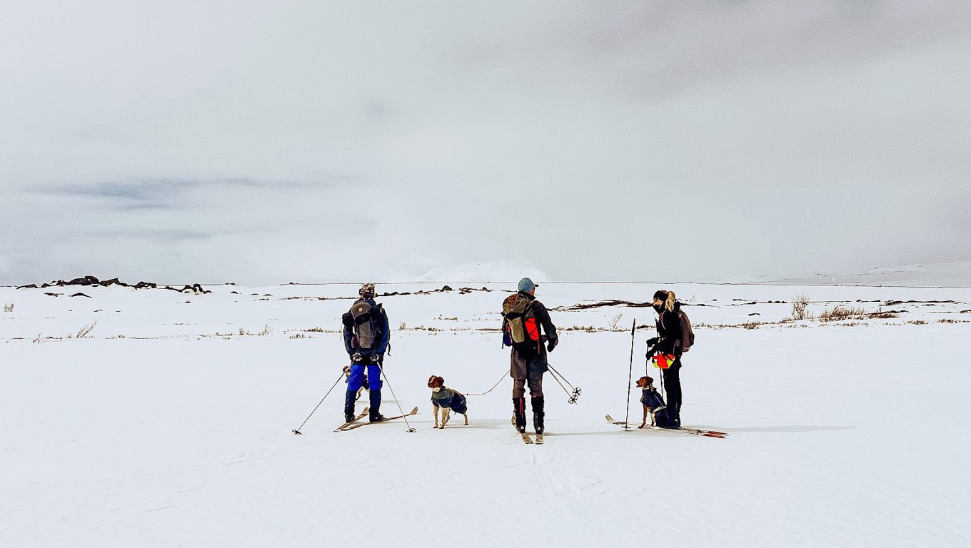 Klimpfjäll April 25 1