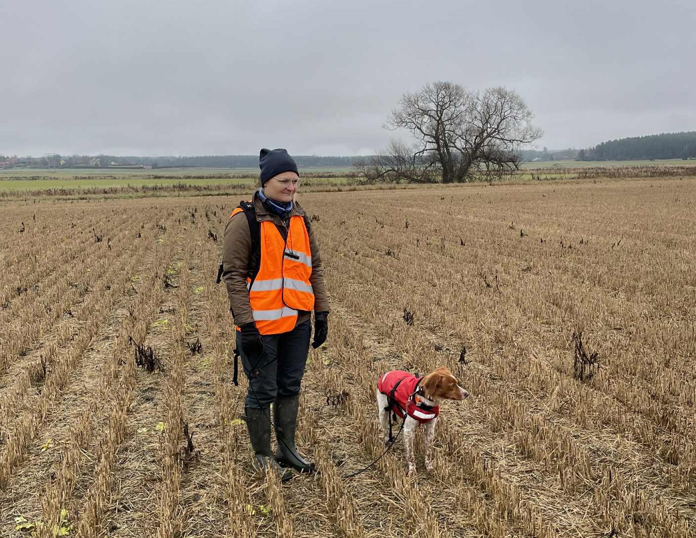 Carolina O Ripvidets Vilja