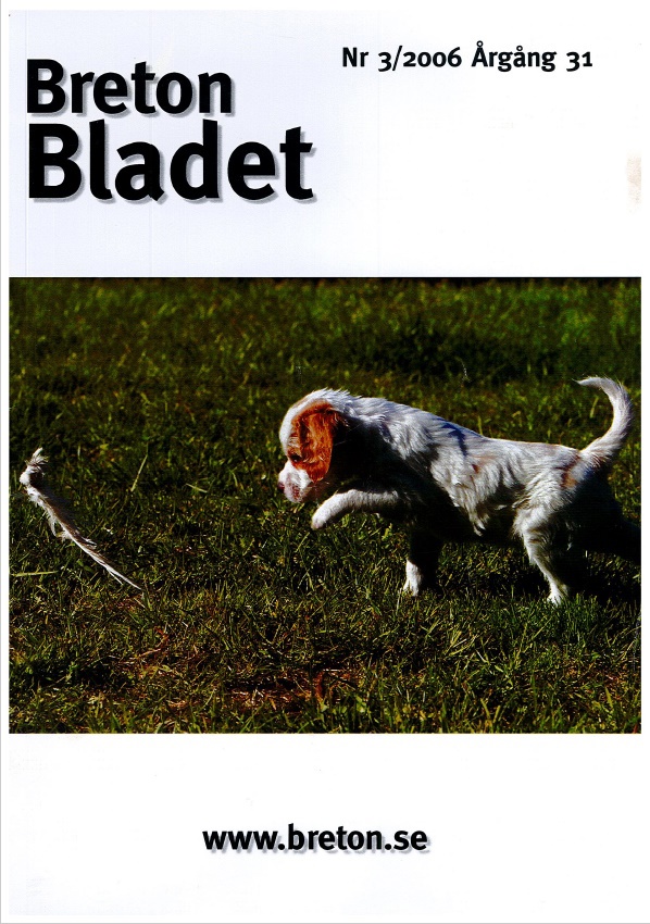 2006 3 Framsida