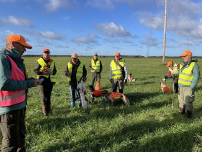 Breton-SM Gotldand-24