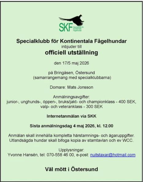 Utställning Bringsasen