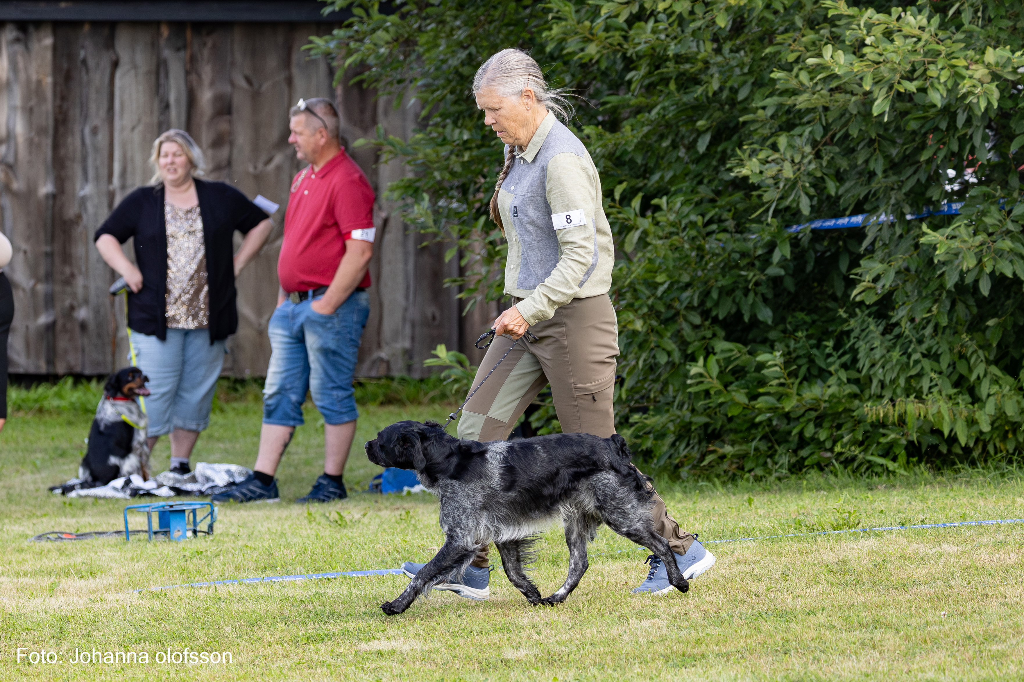 Husombergets Macallan Äg Karin Rabe2025