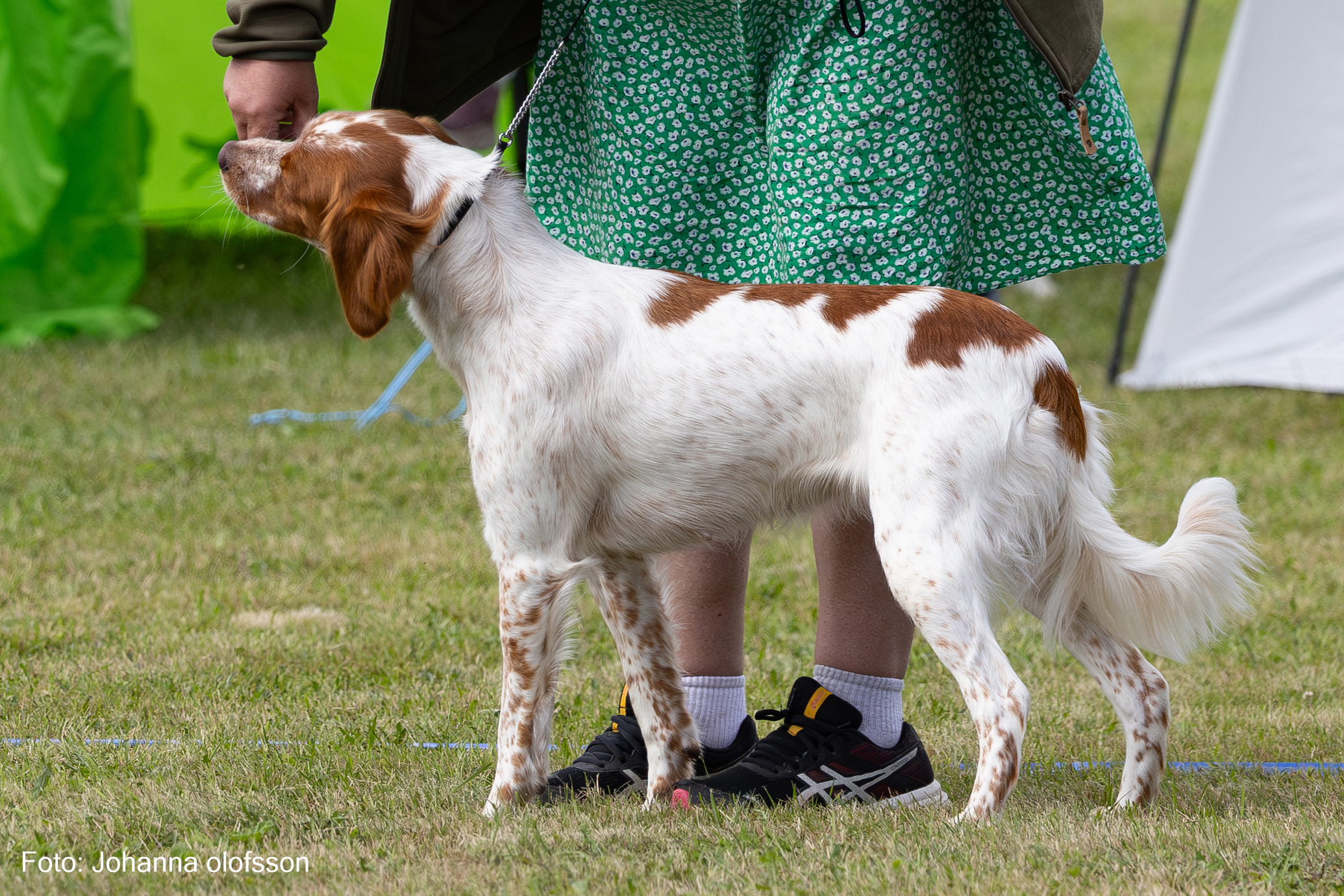 Strömforsens Gun Iris Äg Carola Vall2025