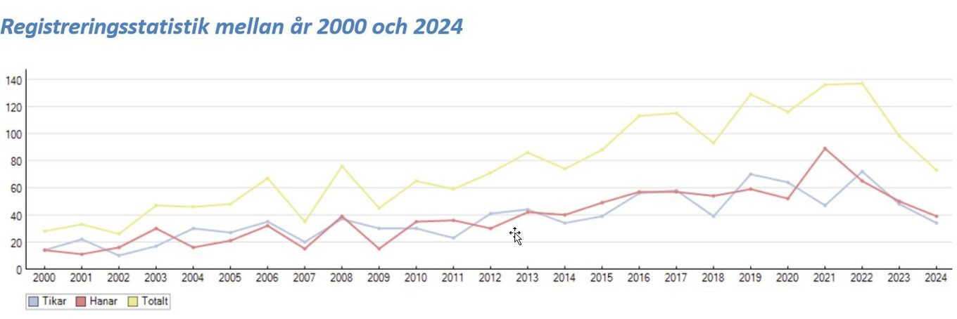 Registreringsstatistik 2000 2024