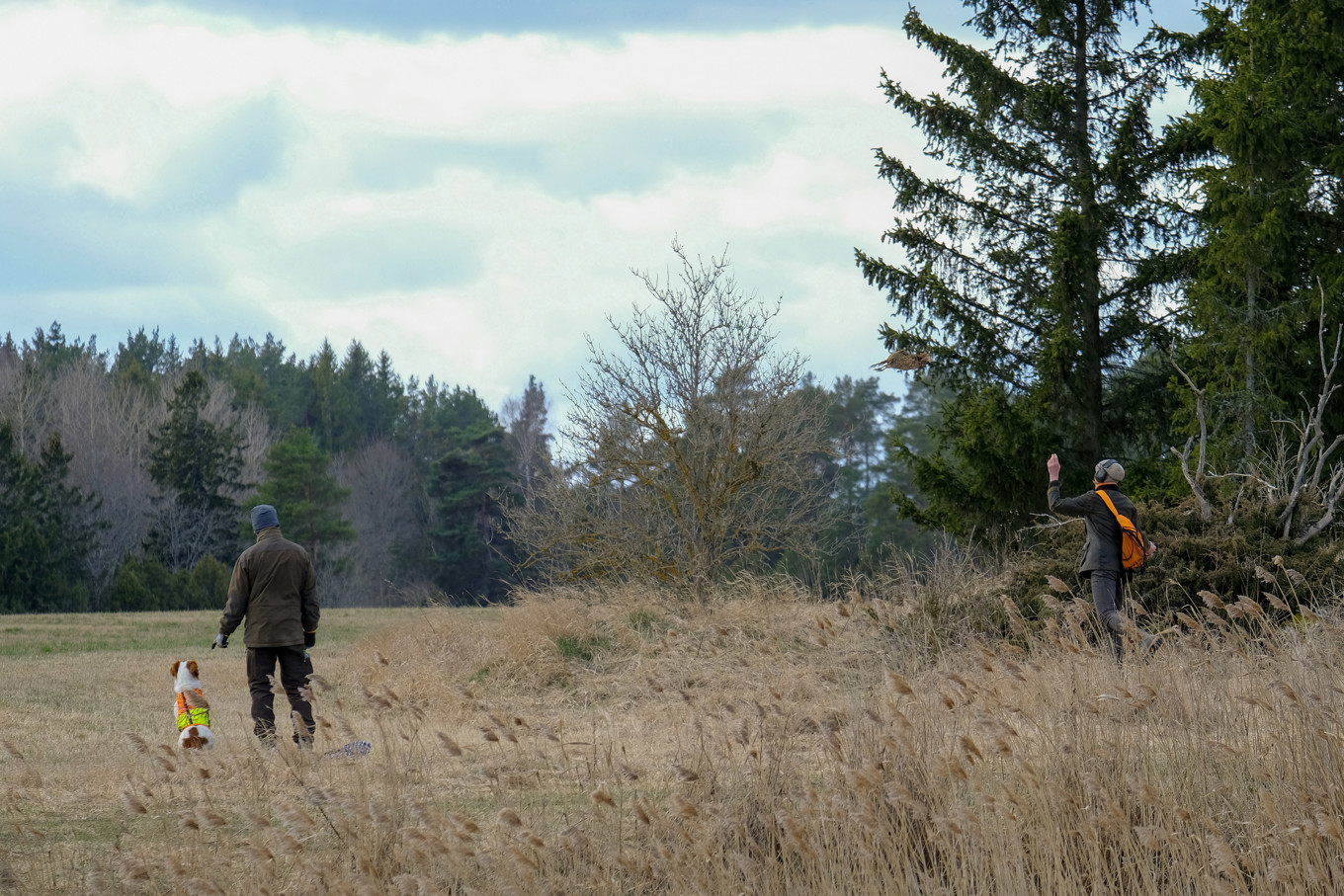 Långtora 2025-04-05