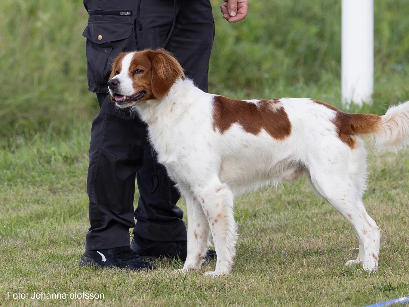 Lapinlunas Bozzo G Rickard H Binette2025