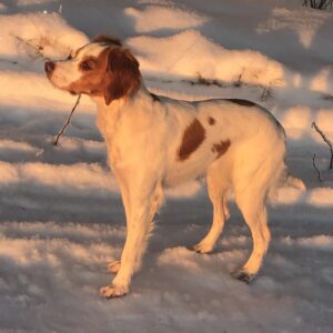 Elsa Oltokken 300X300