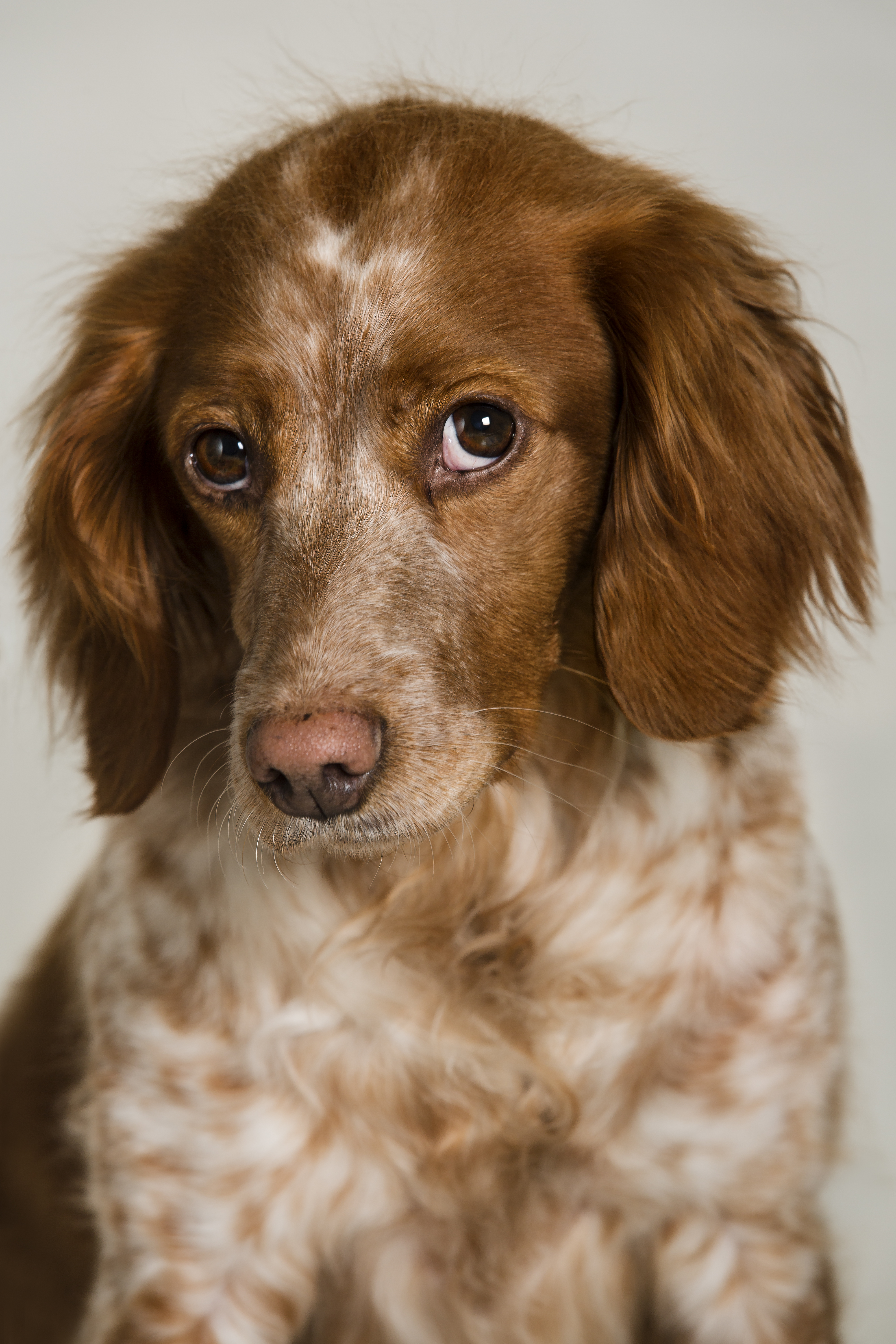 Tricky Treet’S Iriz (2)