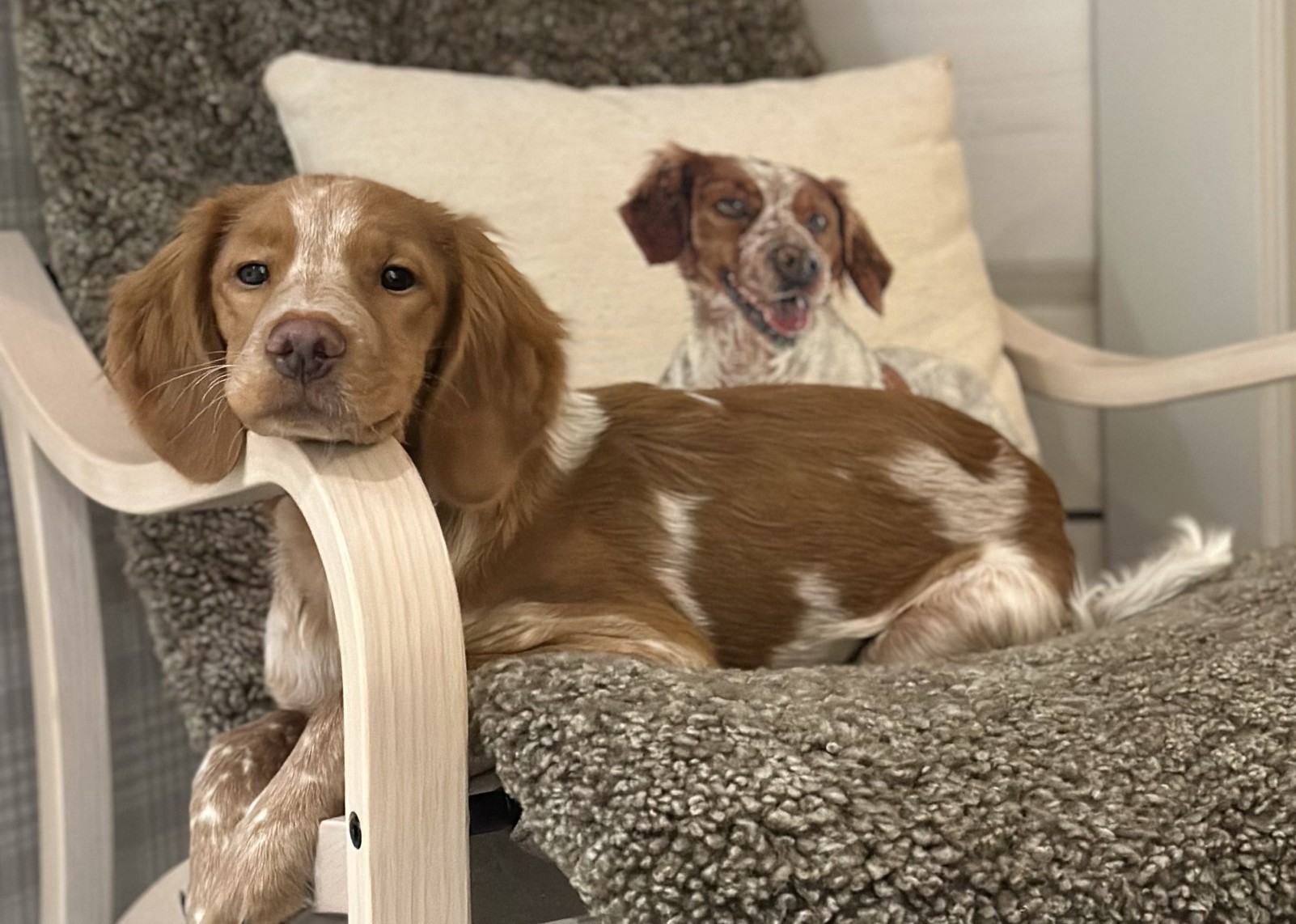 Lill-Gemons Valkyria