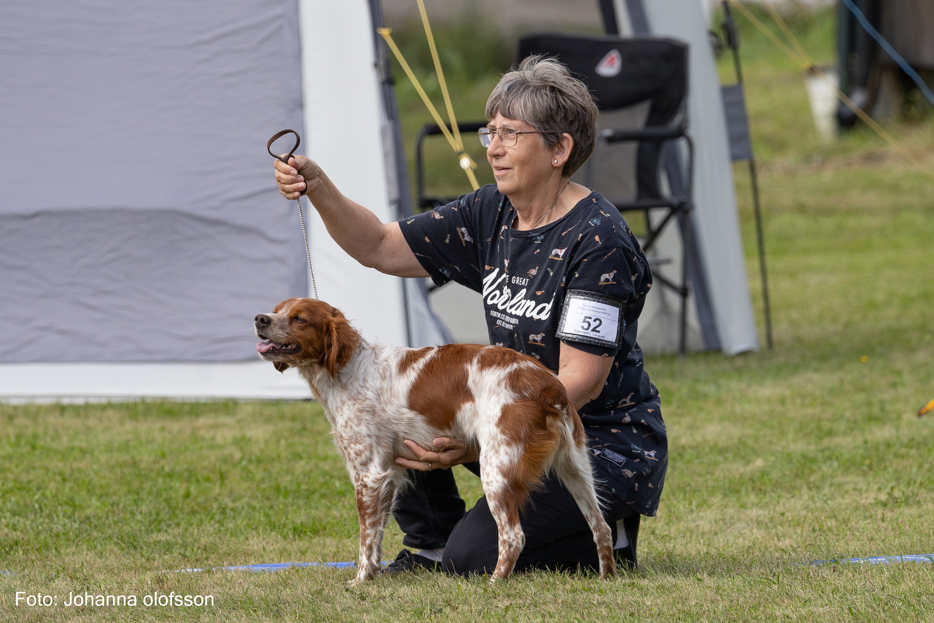 Tilde Du Clan Des Perdrix Äg Birgitta Rådman2025