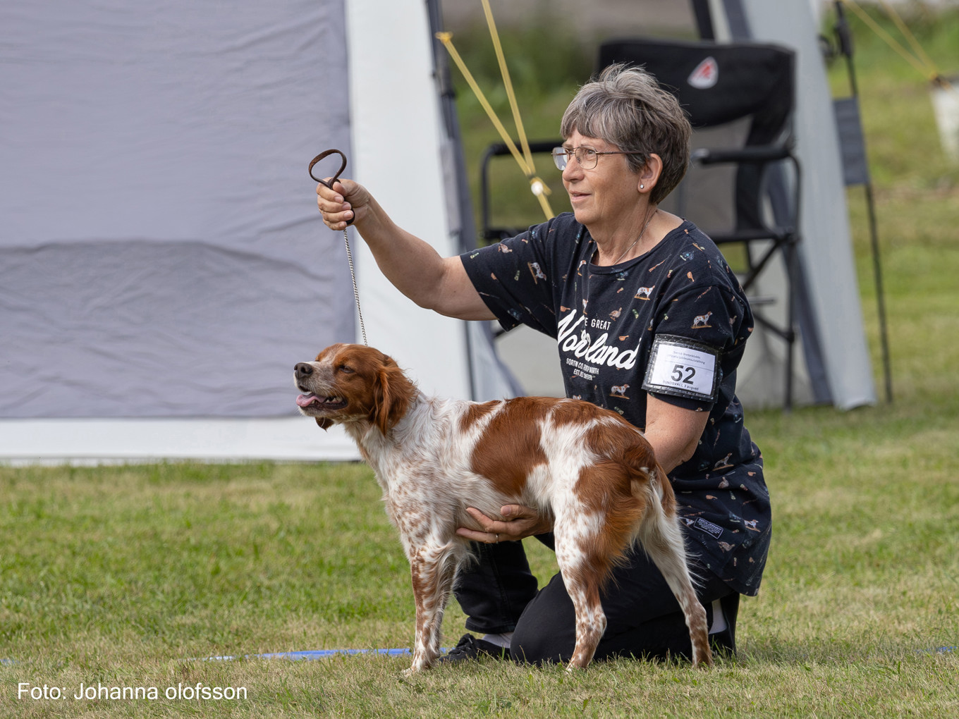 Tilde Du Clan Des Perdrix Äg Birgitta Rådman2025