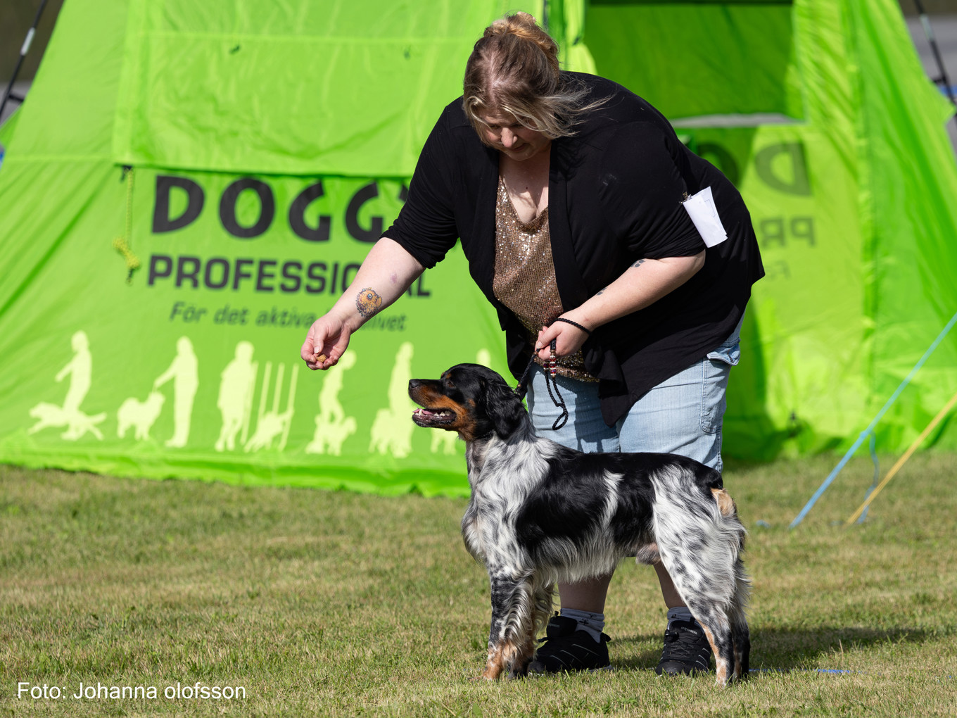 Eirams Haki Tri Äg Annica Hallin2025