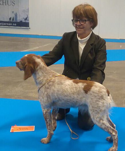 Strandbys Bonjour Maine Sterner 2016 01 07 Bonjour