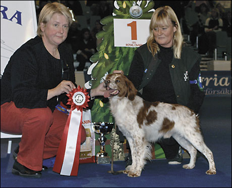 Pasties De La Cour Des Perdrix.1