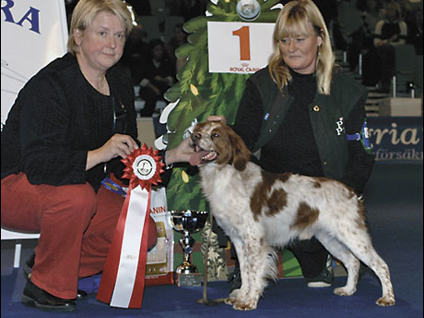 Pasties De La Cour Des Perdrix.1