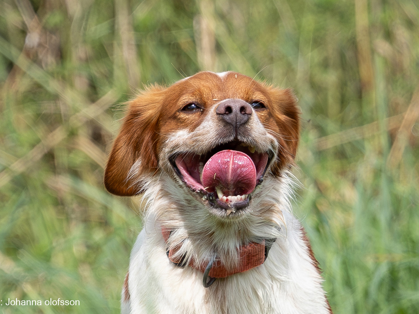 Bandittens Fraekke Batman Äg Allan Hansen2025 2